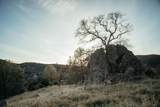 4049 Jaquima Drive - Photo 8