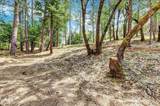 12774 Hoppy Hollow Road - Photo 63