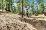 12774 Hoppy Hollow Road - Photo 65