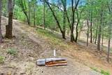 12774 Hoppy Hollow Road - Photo 4