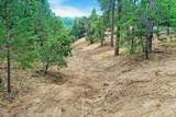 12774 Hoppy Hollow Road - Photo 6