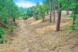 12774 Hoppy Hollow Road - Photo 7