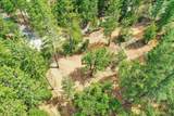 12774 Hoppy Hollow Road - Photo 11