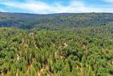 12774 Hoppy Hollow Road - Photo 12