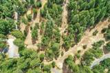 12774 Hoppy Hollow Road - Photo 13