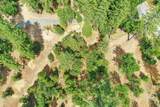 12774 Hoppy Hollow Road - Photo 19