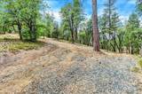 12774 Hoppy Hollow Road - Photo 21
