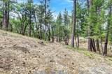 12774 Hoppy Hollow Road - Photo 23