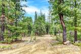 12774 Hoppy Hollow Road - Photo 27