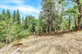 12774 Hoppy Hollow Road - Photo 32