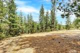 12774 Hoppy Hollow Road - Photo 35