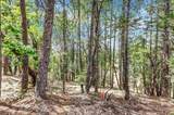12774 Hoppy Hollow Road - Photo 36