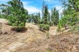 12774 Hoppy Hollow Road - Photo 37