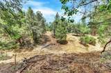 12774 Hoppy Hollow Road - Photo 39