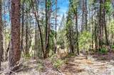 12774 Hoppy Hollow Road - Photo 40