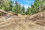 12774 Hoppy Hollow Road - Photo 41