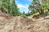 12774 Hoppy Hollow Road - Photo 42