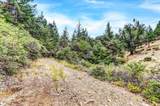 12774 Hoppy Hollow Road - Photo 43