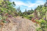 12774 Hoppy Hollow Road - Photo 44