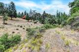 12774 Hoppy Hollow Road - Photo 46