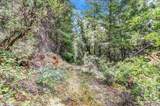 12774 Hoppy Hollow Road - Photo 47
