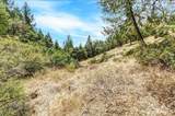12774 Hoppy Hollow Road - Photo 48