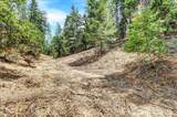 12774 Hoppy Hollow Road - Photo 51