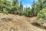 12774 Hoppy Hollow Road - Photo 52