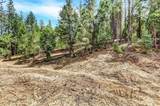 12774 Hoppy Hollow Road - Photo 53