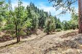 12774 Hoppy Hollow Road - Photo 54