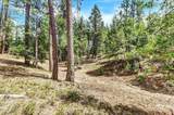 12774 Hoppy Hollow Road - Photo 55
