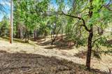 12774 Hoppy Hollow Road - Photo 56