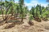 12774 Hoppy Hollow Road - Photo 57
