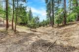 12774 Hoppy Hollow Road - Photo 58