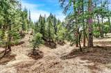 12774 Hoppy Hollow Road - Photo 59