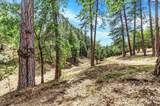 12774 Hoppy Hollow Road - Photo 60