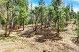 12774 Hoppy Hollow Road - Photo 61