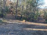 0 Bandit Lane - Photo 17
