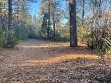 0 Bandit Lane - Photo 4
