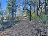 0 Bandit Lane - Photo 8