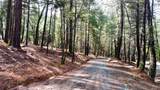 0 Oregon Trail Road - Photo 13