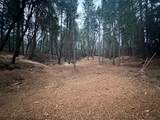 0 Oregon Trail Road - Photo 8