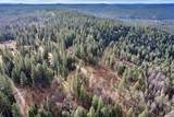 9893 Grizzly Flat Road - Photo 11