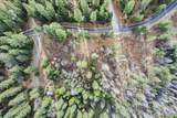 9893 Grizzly Flat Road - Photo 14