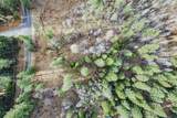 9893 Grizzly Flat Road - Photo 15