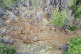 9893 Grizzly Flat Road - Photo 17