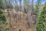 9893 Grizzly Flat Road - Photo 18