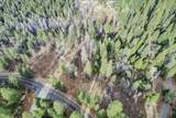 9893 Grizzly Flat Road - Photo 5