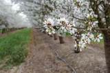 0 Hart Road - Photo 22