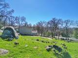 14359 Knobcone Drive - Photo 10